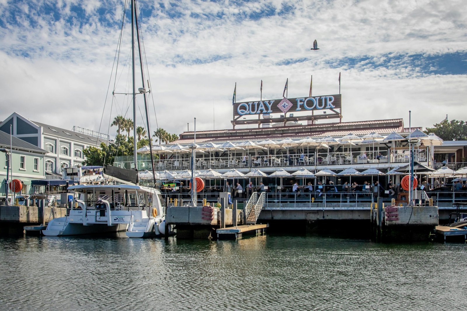 pexels-magda-ehlers-pexels-3886409